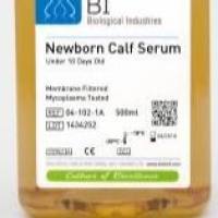 BI胎牛血清(for China only)