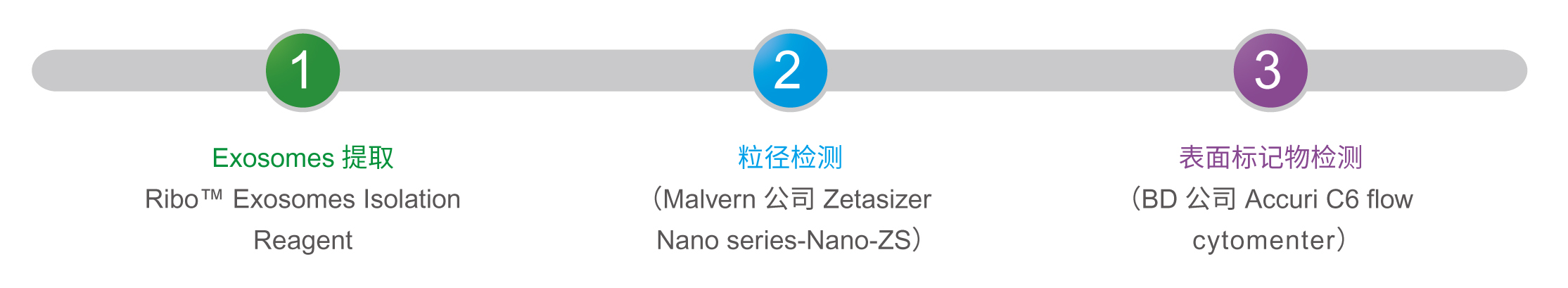 外泌体抽提与鉴定技术服务，“有料”才真实！