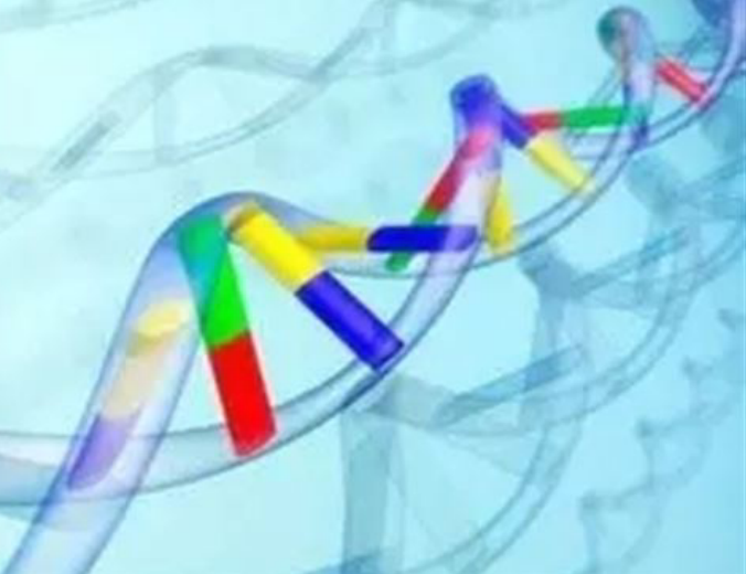 生化代谢检测服务