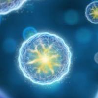 外泌体实验研究实验