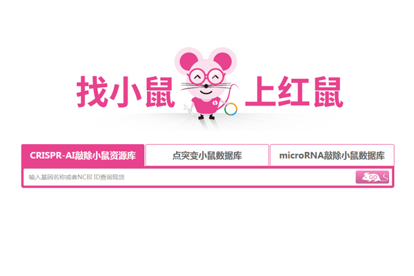 深耕模式动物服务15年，赛业生物为您的研究保驾护航