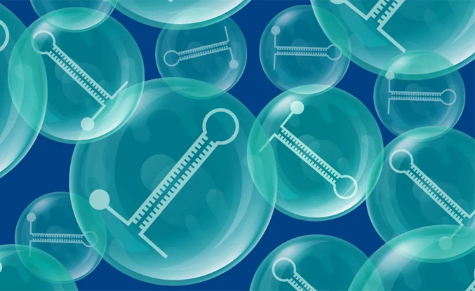 Nature子刊丨外泌体microRNAs可改善心脏功能，治疗扩张型心肌病