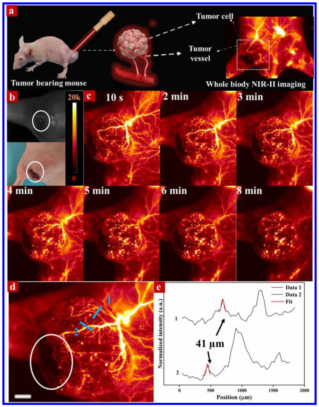 产品细节图片10