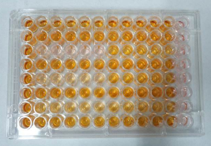 上海肿瘤细胞CCK8实验