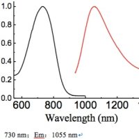 近红外二区荧光染料－TTQ-F-PLL