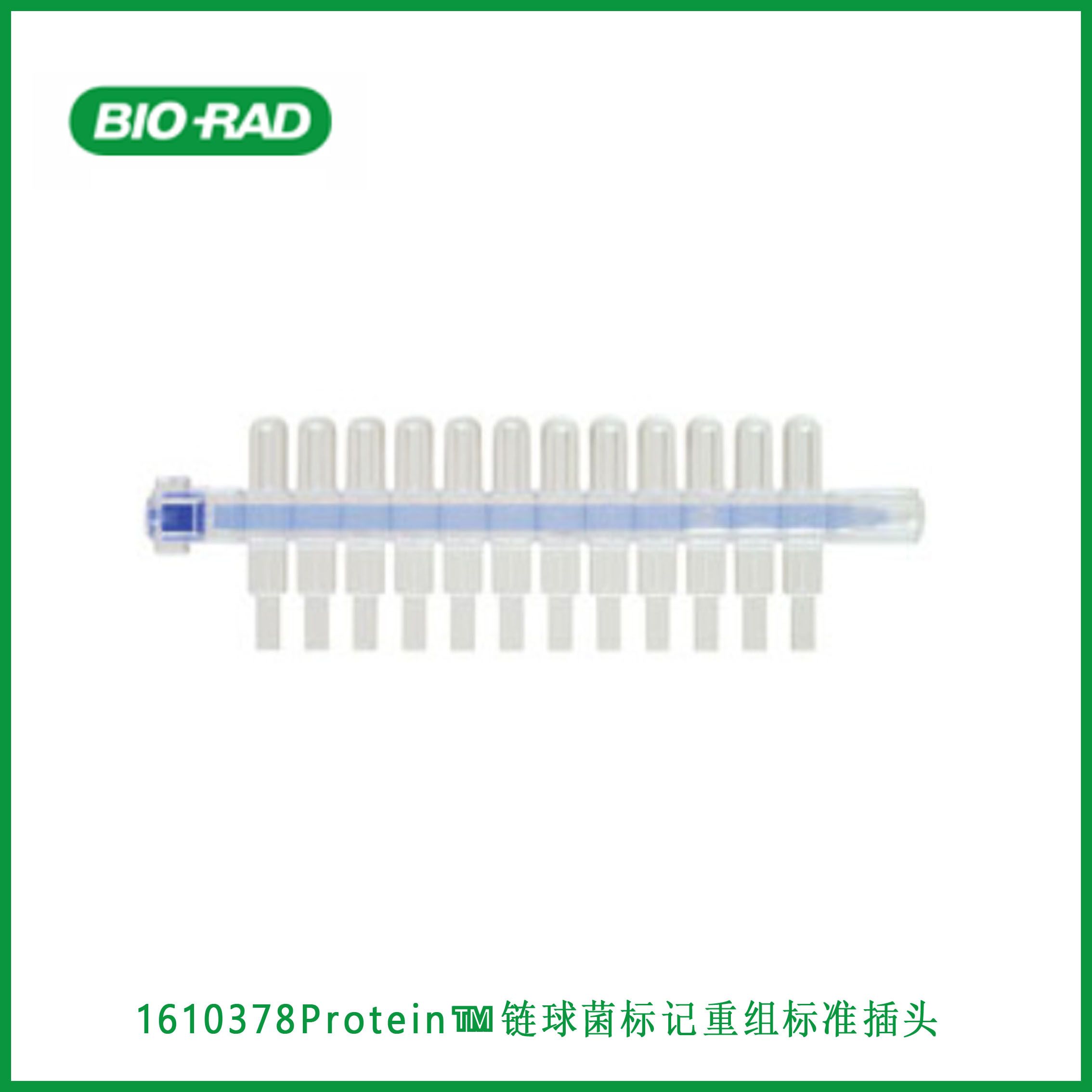 伯乐Bio-Rad1610378Precision Plus Protein™ Standard Plugs, unstained, Strep-tagged, recombinant， ​​​​​​​Protein™标准插头，未染色，链球菌标记，重组，现货