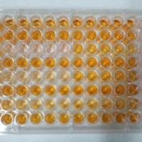 肿瘤细胞CCK8实验