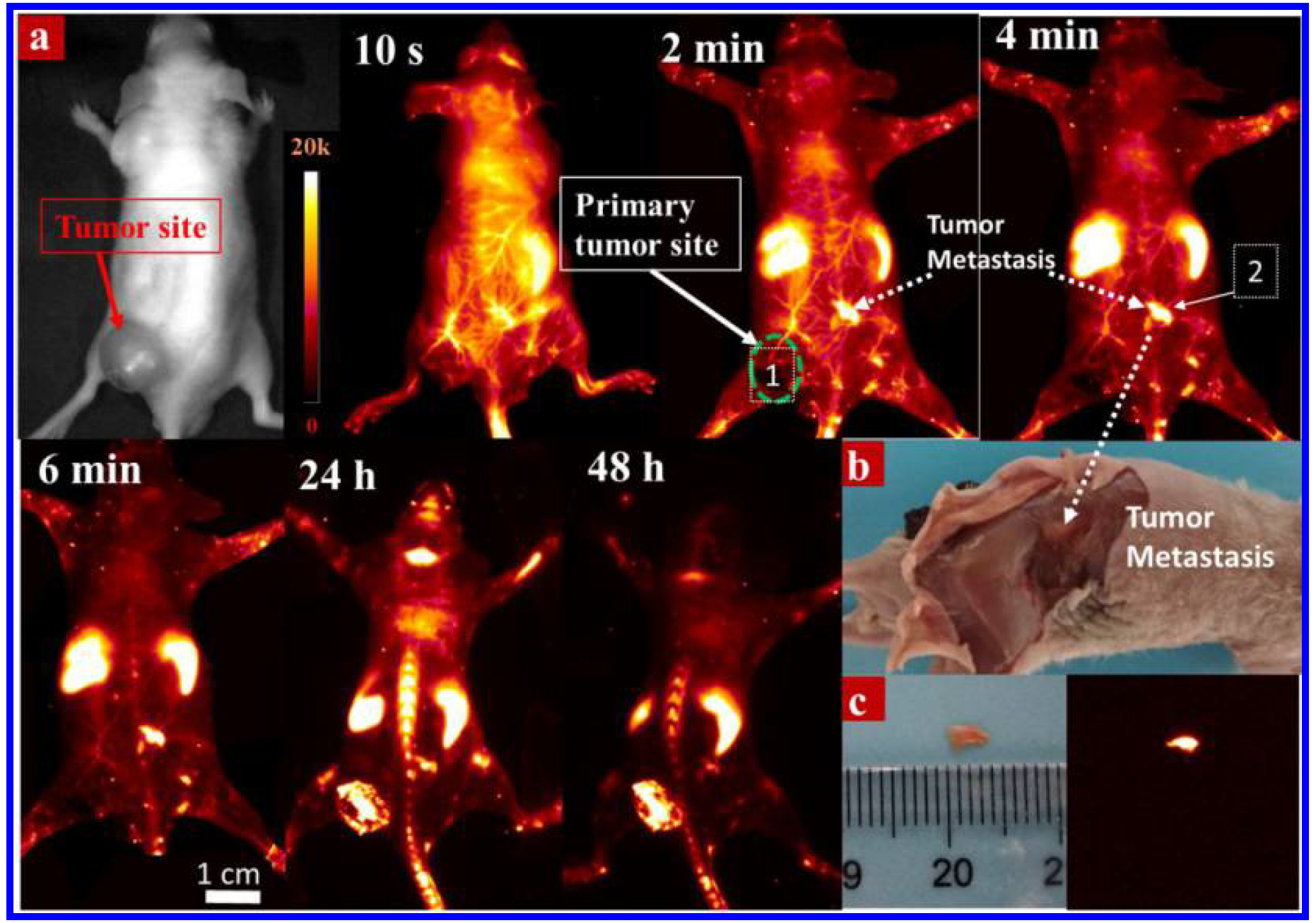 产品细节图片11