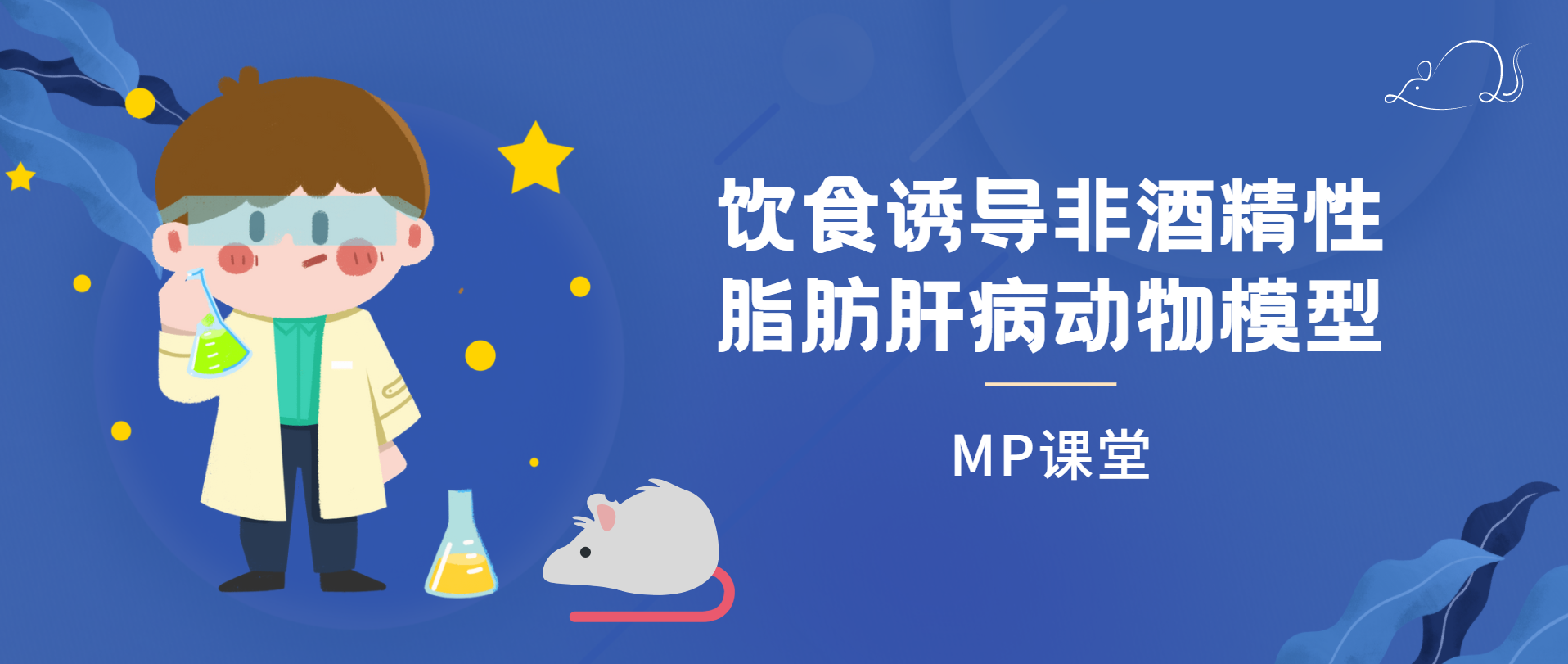 MP 课堂 | 多款饮食诱导非酒精性脂肪肝病动物模型案例
