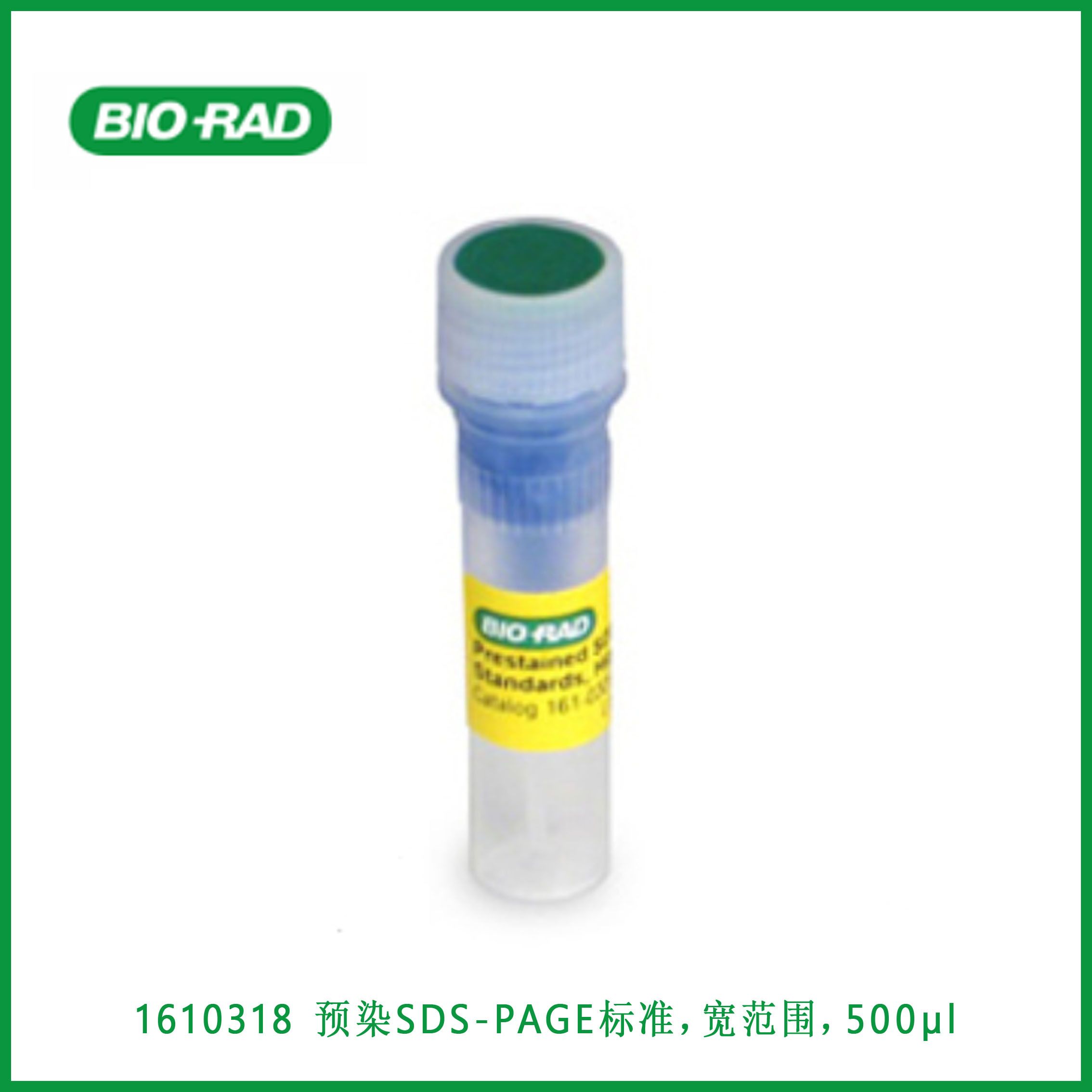 伯乐Bio-Rad1610318Prestained SDS-PAGE Standards, broad range, 500 µl， ​​​​​​​预染SDS-PAGE标准，宽范围，500µl，现货