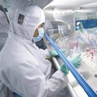 T细胞诱导分化实验