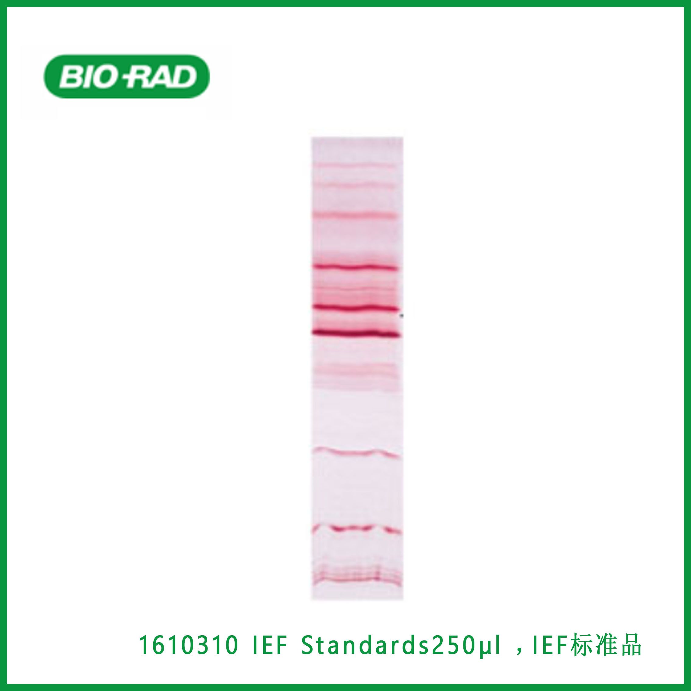 伯乐Bio-Rad1610310IEF Standards250μl ，IEF标准品，现货