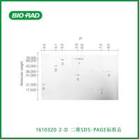 伯乐Bio-Rad1610320 2-D SDS-PAGE Standards,二维SDS-PAGE标准品,现货