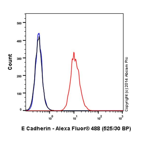 重组Alexa Fluor® 488荧光Anti-E Cadherin抗体[EP700Y] - Intercellular Junction Marker