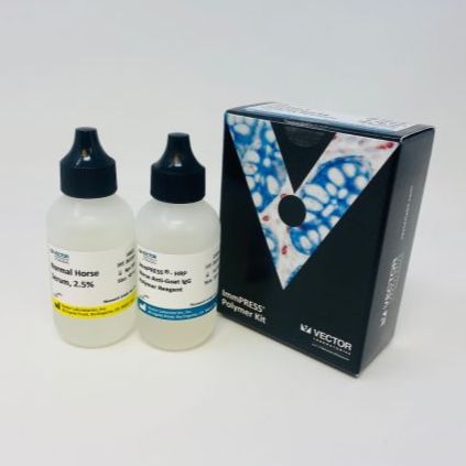 ImmPRESS Horse anti -Goat Kit 50 ml马抗山羊IgG聚合物检测试剂盒，HRP系统
