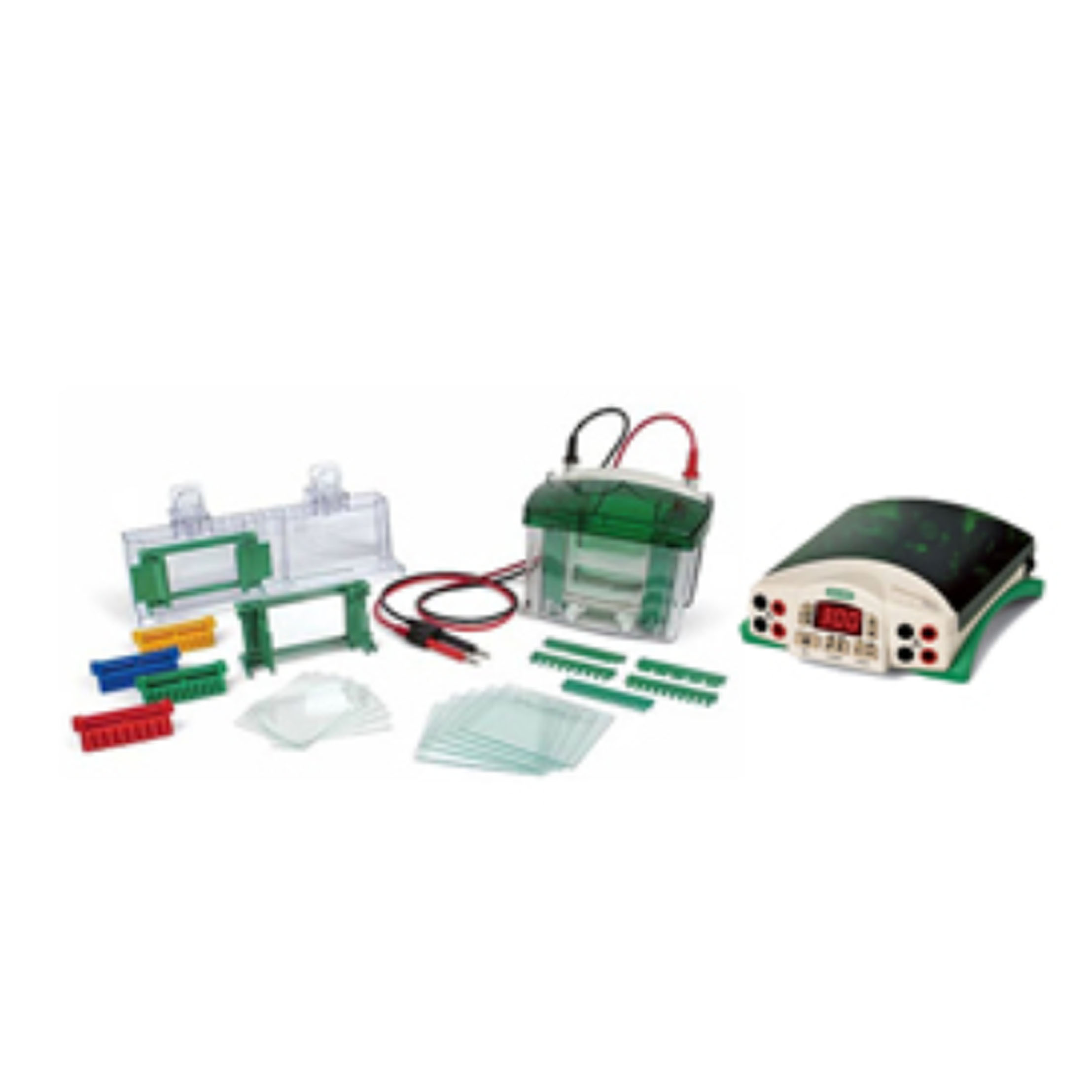 伯乐Bio-Rad1658025 Mini-PROTEAN 