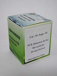 牛生殖道支原体PCR检测试剂盒