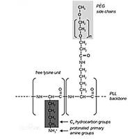 聚赖氨酸纵向偶联聚乙二醇  PLL(20)-g[5]-PEG(2) 