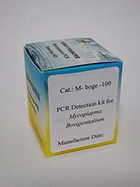 牛生殖道支原体PCR检测试剂盒