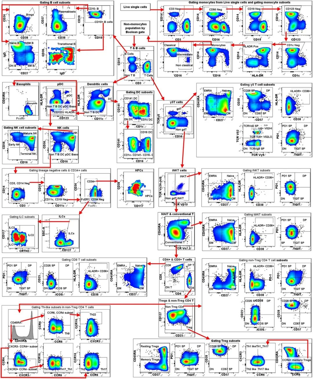 Cytek用户发表43色免疫表型分析方案，光谱流式多色应用再上台阶！