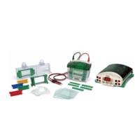 伯乐Bio-Rad1658033Mini-PROTEAN® Tetra Cell, Mini Trans-Blot® Module, and PowerPac™ Basic Power Supply，Mini-PROTEAN®Tetra细胞、Mini-Trans-Blot®模块和PowerPac™ 基本电源,现货