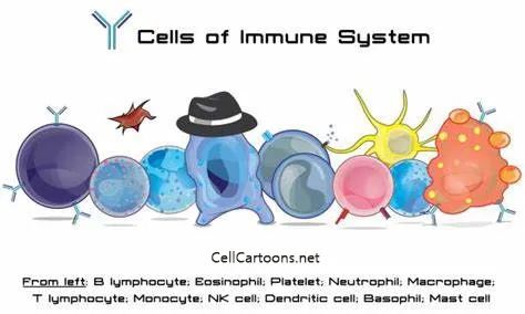 给免疫细胞小伙伴们来个素描，Cytek ImmunoProfiling Panel助一臂之力！