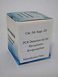 牛生殖道支原体PCR检测试剂盒