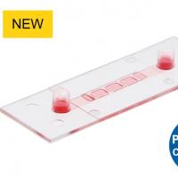 德国ibidi µ-Slide 单通道3D培养载玻片87176 87171