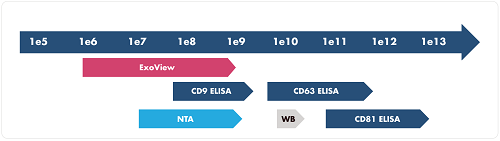 干货分享 | 外泌体定量与表型分析