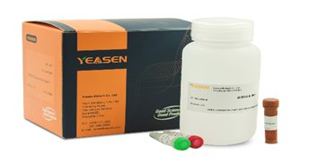 5 min完成精准定量：快，准，稳