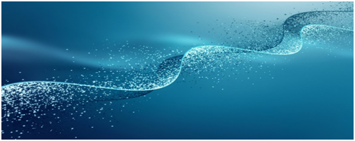 rRNA去除试剂盒，满足不同样本去除需求