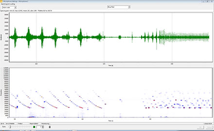 声音行为分析系统