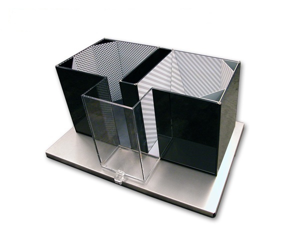 条件性位置偏好