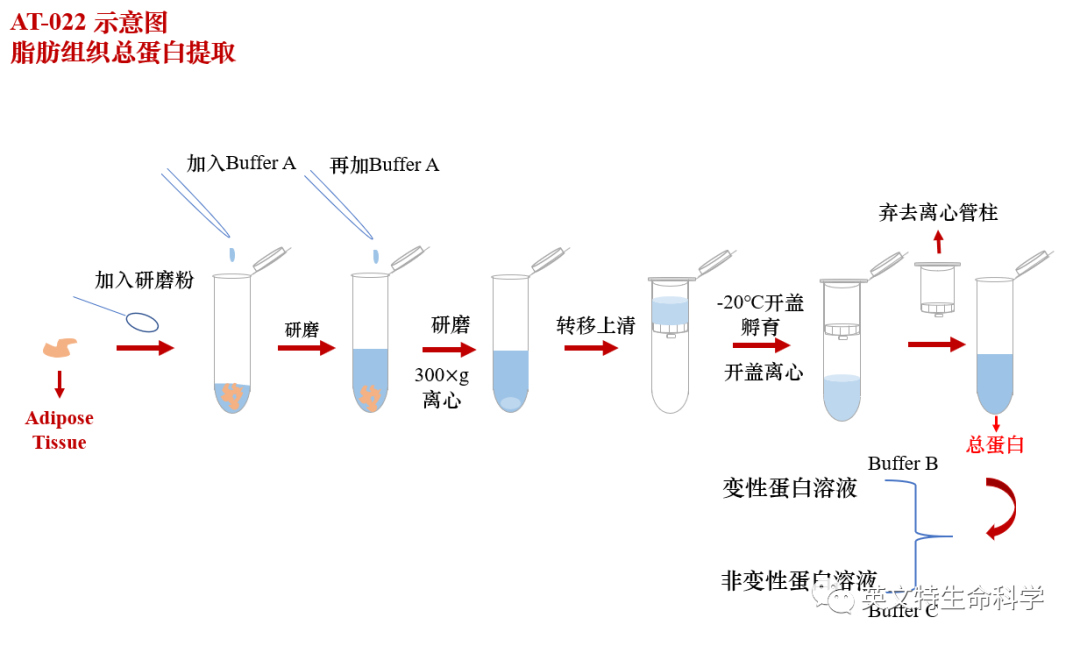 inventafeeder图片