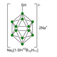 Katchem硼化学(CAS#12448-24-7, CAT#210)Sodium mercaptododecaborate 10B, BSH