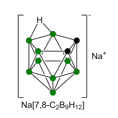 Katchem硼化学(CAS#12602-34-5, CAT#673)Sodium 7,8-dicarbaundecaborate