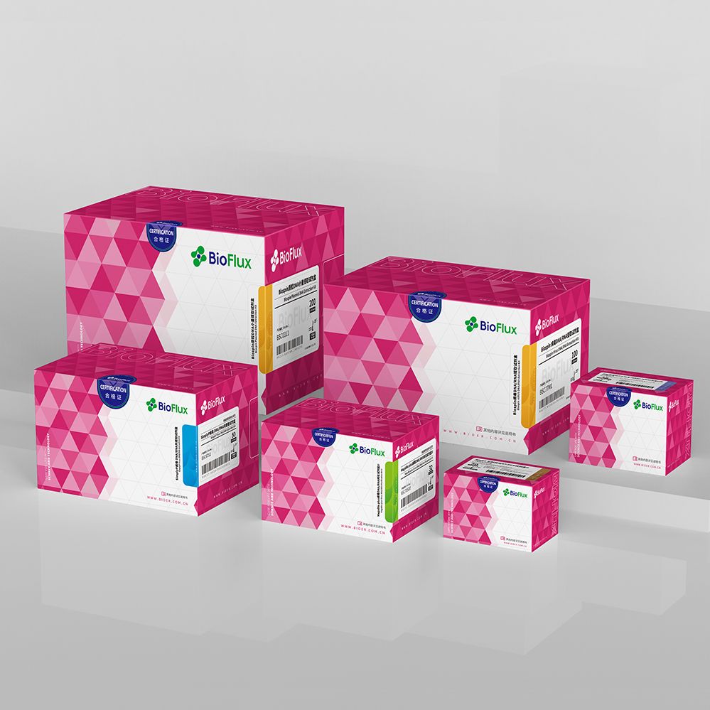 MagaBio plus病毒DNA/RNA 纯化试剂盒Ⅱ