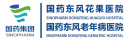 国药东风花果开云平台官网入口
