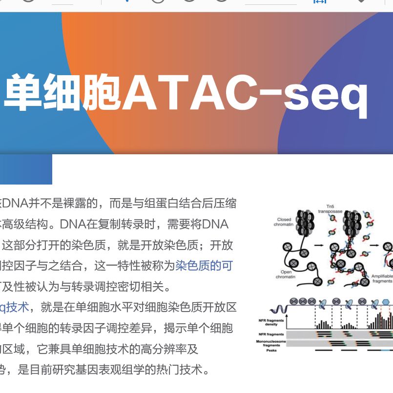 单细胞ATAC-seq