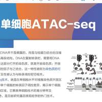 单细胞ATAC-seq
