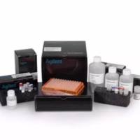 SureSelect XT HS2 DNA 试剂盒