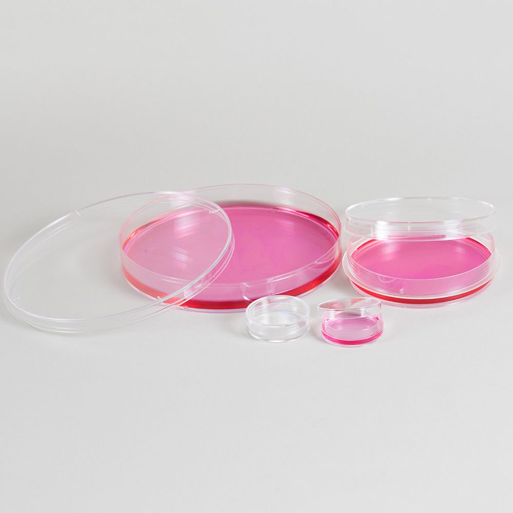 CS016-0128/ 100 mm Cell Culture Dish