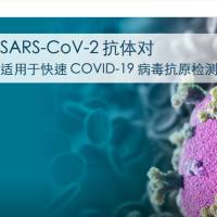 新冠病毒COVID-19 刺突蛋白三聚体单克隆抗体