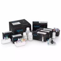 SureSelect XT HS2 RNA 试剂盒