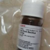 Glucosamine sulfate 硫酸氨基葡萄糖 标准品