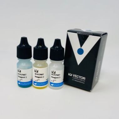 BCIP/NBT Alkaline Phosphatase Substrate KitBCIP/NBT底物