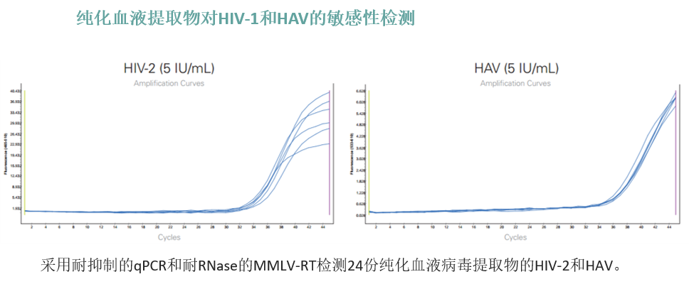 含RNA酶抑制剂的MMLV 逆转录酶,MDX043