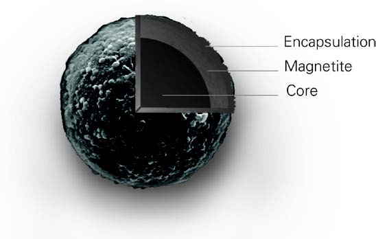 高分子聚合磁珠Magnefy在核酸提取中的应用