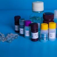 吲哚乙酸氧化酶酶活测定试剂盒