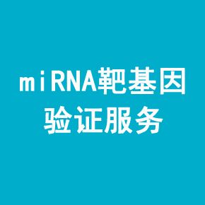 miRNA靶基因验证服务